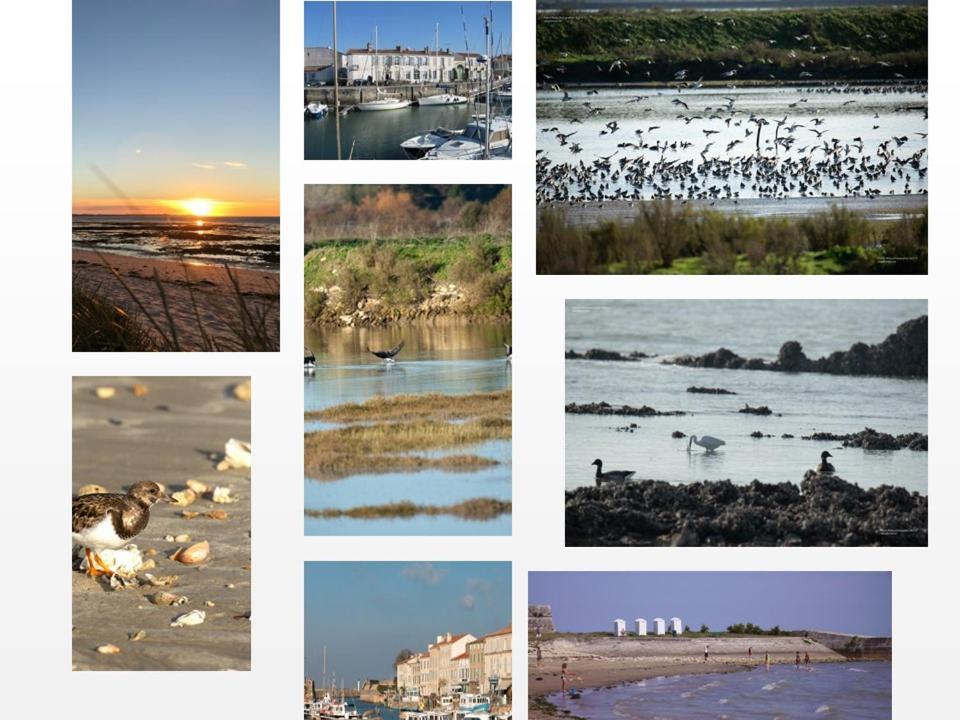 Ile De Re, La Danae, Velos, Wifi, Possibilite Cuisine, Linge, Parking Gratuit Сен-Мартен-де-Ре Экстерьер фото
